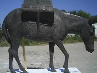 casting-animals-in-war