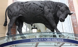 mould-making-plaster-judy-boyt-bull-image2