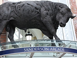 mould-making-plaster-judy-boyt-bull-image2pv